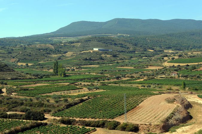 arandinos-bodega-56